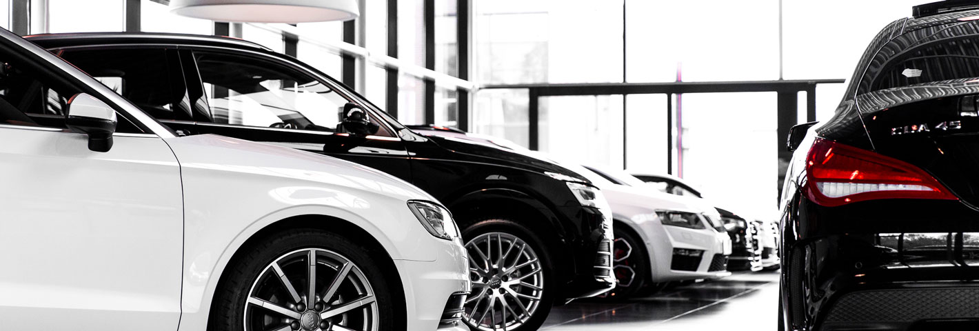 Privacy glass | MAK Auto & Techniek