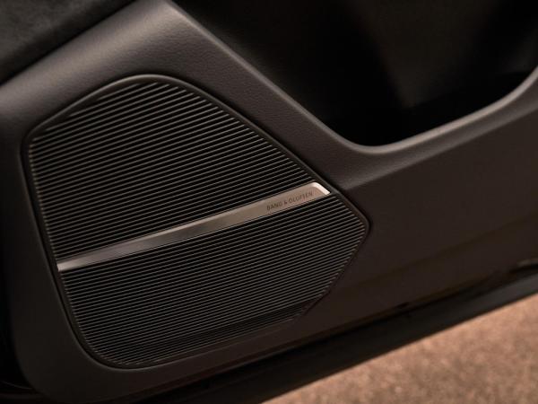 Audi Q8 55 TFSI e Quattro Pro Line S | Audi occasion