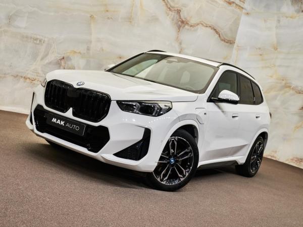 BMW X1 xDrive30e M Sport | BMW occasion