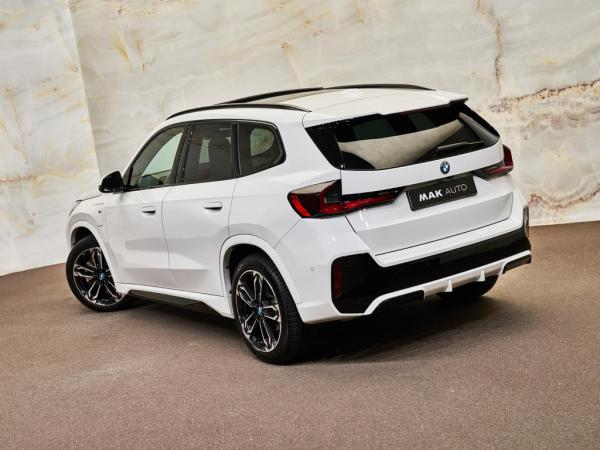 BMW X1 xDrive30e M Sport | BMW occasion