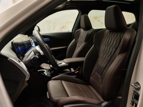 BMW X1 xDrive30e M Sport | BMW occasion