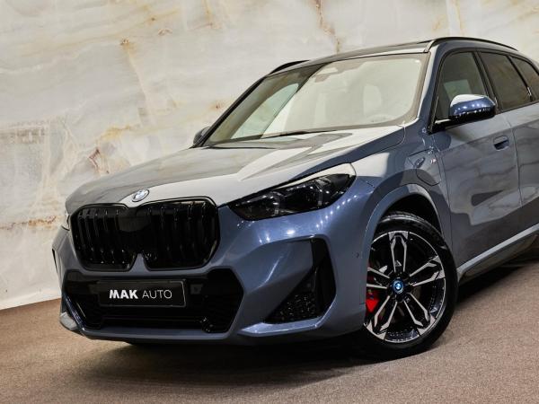 BMW X1 xDrive30e M Sport Pro | BMW occasion