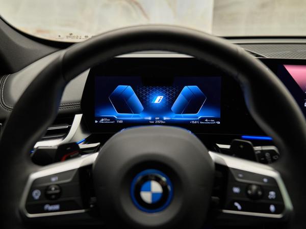 BMW X1 xDrive30e M Sport Pro | BMW occasion