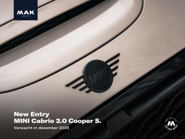 MINI Cabrio 2.0 Cooper S Rockingham GT Edition | MINI occasion