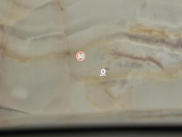 Porsche Panamera 2.9 4S E-Hybrid | Porsche occasion