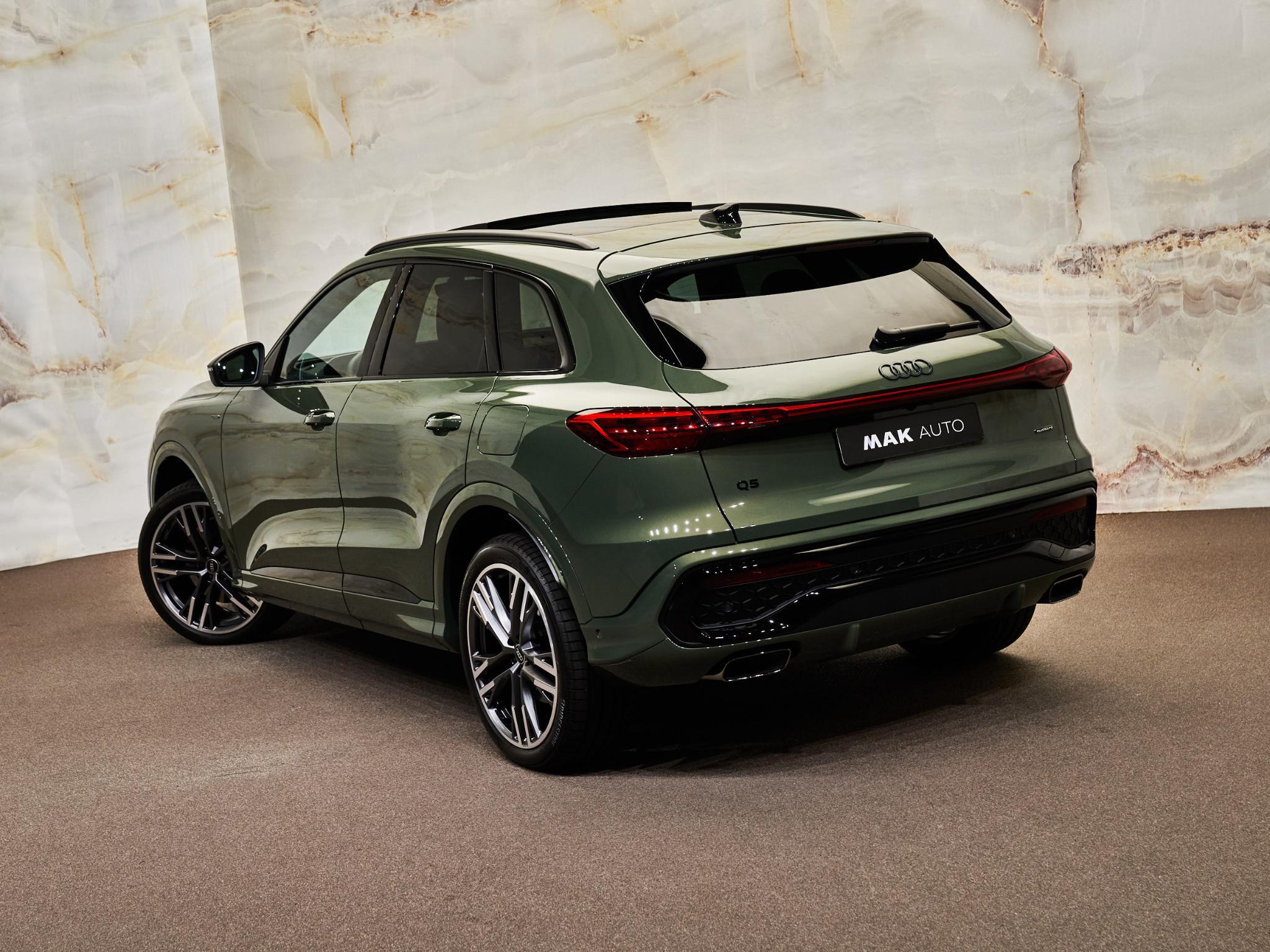 Audi Q5 - 30