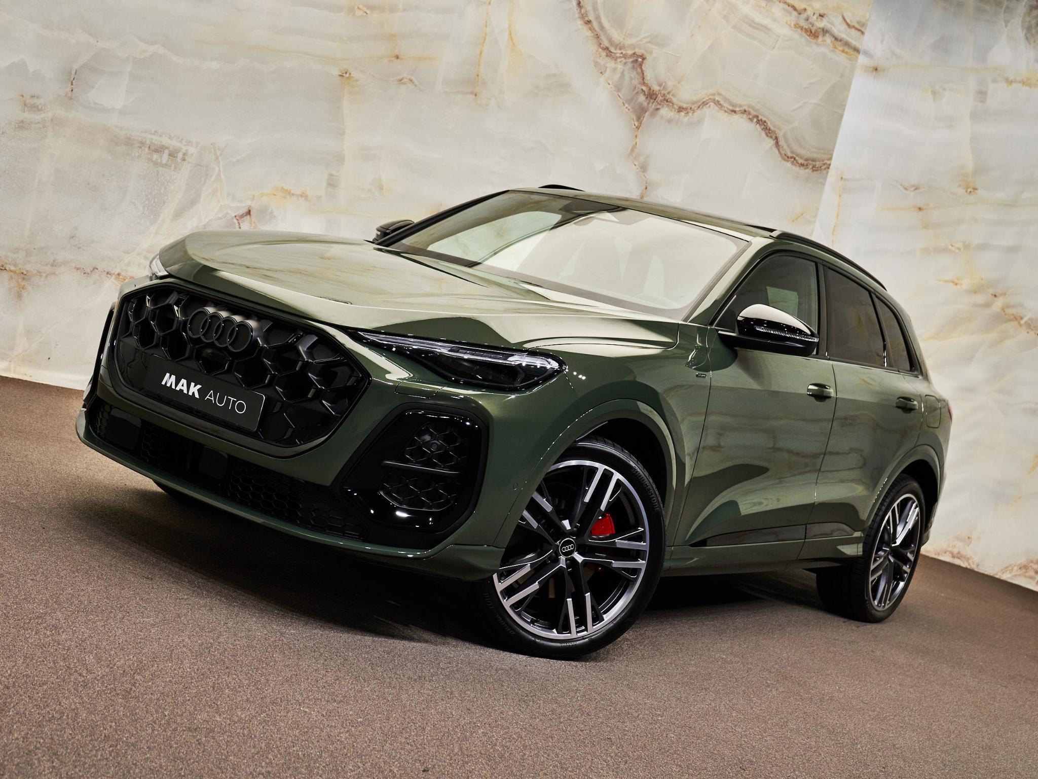 Audi Q5 - 29